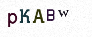 Visual Confirmation Security Code