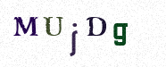 Visual Confirmation Security Code